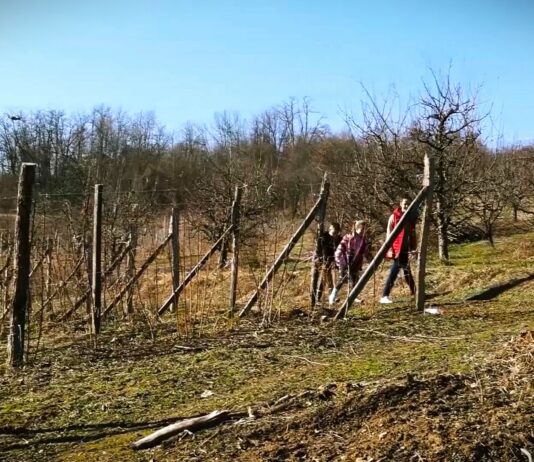 Kome pripada zemlja Srbije -Nedovršena restitucija, nestanak sela i borba za prehrambeni suverenitet