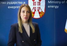 Agencija za sprečavanje korupcije pokrenula vanrednu proveru imovine Đedović Handanović