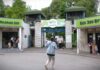 Mladunčad kamile, alpaka i antilope novi stanovnici Beo zoo-vrta