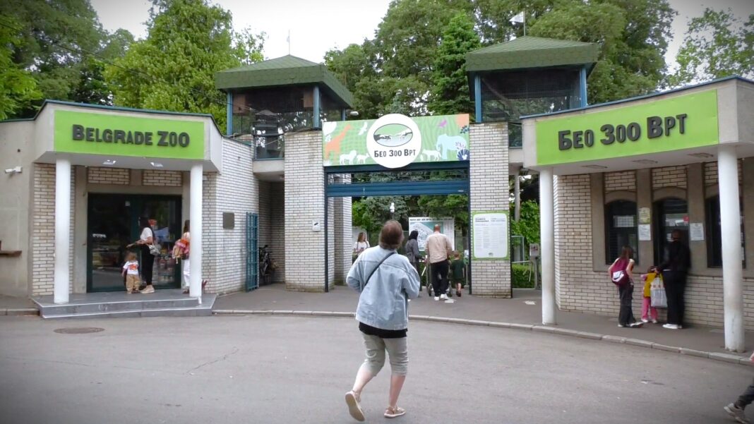 BEOGRADSKI ZOO VRT