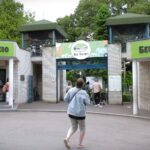 Mladunčad kamile, alpaka i antilope novi stanovnici Beo zoo-vrta