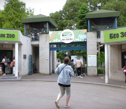 Mladunčad kamile, alpaka i antilope novi stanovnici Beo zoo-vrta
