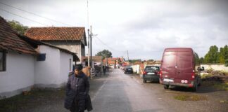 Predstavnica Romske federacije: Romi se suočavaju sa preprekama u obrazovanju i zapošljavanju