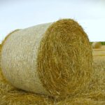 Bande noću kradu bale sena i deteline širom Banata, pojedini farmeri ostali bez 100 bala