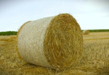 Bande noću kradu bale sena i deteline širom Banata, pojedini farmeri ostali bez 100 bala