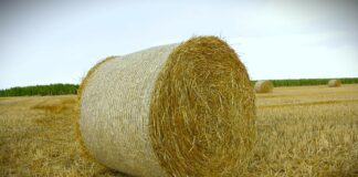 Bande noću kradu bale sena i deteline širom Banata, pojedini farmeri ostali bez 100 bala