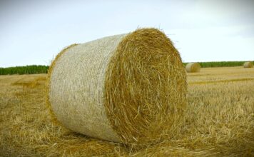 Bande noću kradu bale sena i deteline širom Banata, pojedini farmeri ostali bez 100 bala