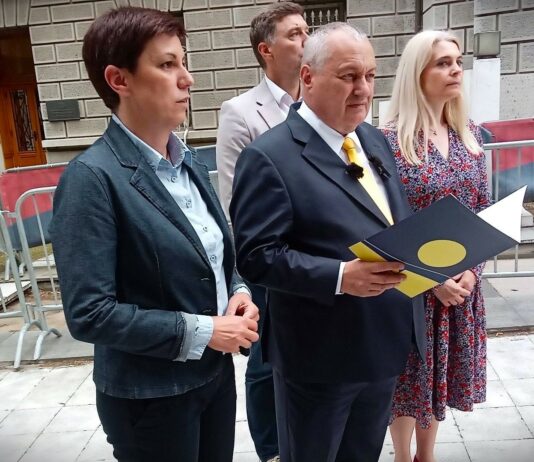 DS: Tražimo istinu, da Vučić odgovori na pitanja o slučaju Senjak, stvorio je mafijašku državu