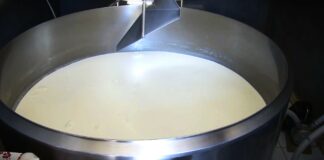 Premije za mleko i u drugom kvartalu: Prijave od 14. jula do 14. avgusta