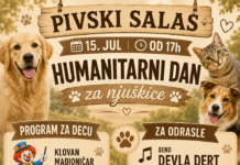 Humanitarni dan za napuštene životinjice na Pivskom salašu 15. jul od 17h do ponoći