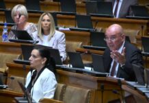 Poslanici postavljali pitanja o zakonu o roditeljima negovateljima, Zmaj Jovinoj gimnaziji, zdravstvu