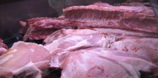 FAO otkriva koji će prehrambeni proizvodi biti najtraženiji u narednim godinama