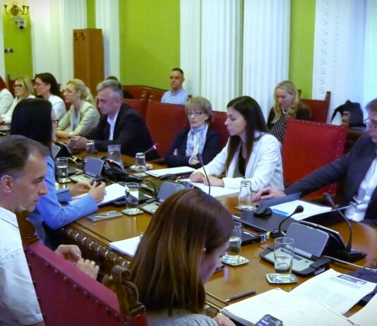 Predstavljen Predlog programa za prevenciju i zaštitu dece od nasilja za period 2026. – 2030.
