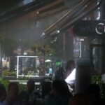 Toplotni talas kao junski danas 55 puta verovatniji nego sredinom 20. veka