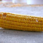 Stručnjaci o visokoj temperaturi i suši: Poljoprivreda mora da se prilagođava