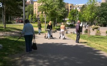 Nova pravila PIO fonda za penzionerske kartice