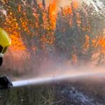 Za 20 godina u Srbiji u požarima izgorelo 51.632 hektara šuma