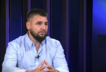 Nikola Krstić o požarima u Deliblatskoj peščari: Sistem je zakazao